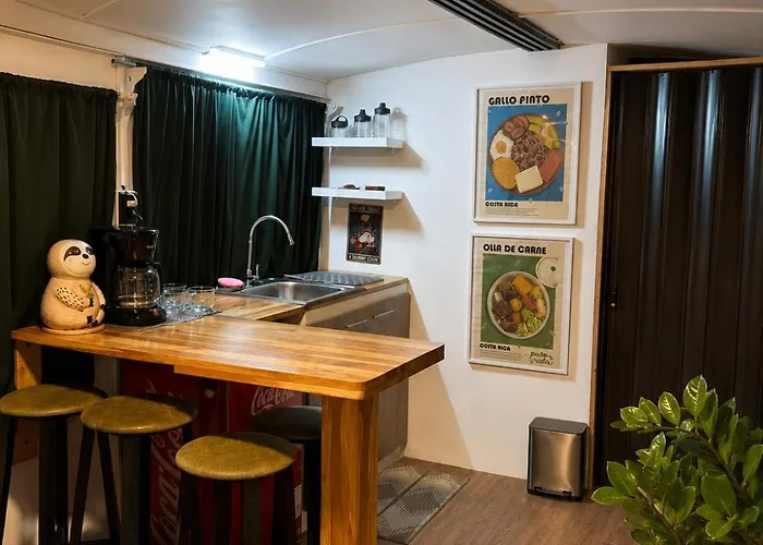 Bajo El Arbol Converted Bus Experience Near Airport *
